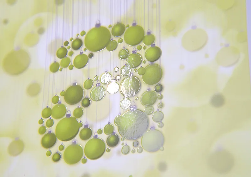 Grafik Agentur Winterthur Weihnachtsgrafik